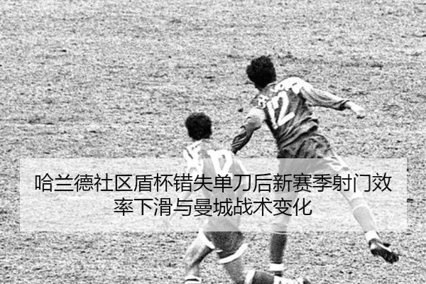 ha-lan-de-she-qu-dun-bei-cuo-shi-dan-dao-hou-xin-sai-ji-she-men-xiao-lv-xia-hua-yu-man-cheng-zhan-shu-bian-hua-2-877.jpg